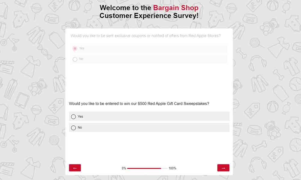 the bargain shop customer experience survey