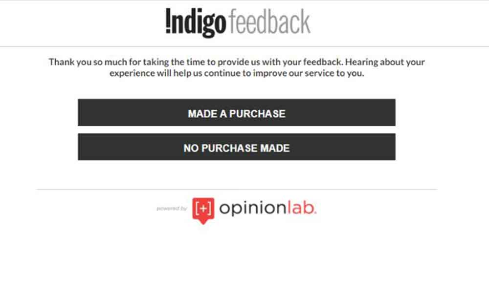 indigo customer survey canada