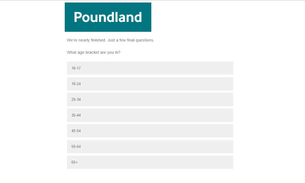 poundland survey
